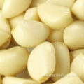 Fresh Garlic Cloves Peeled For Sale